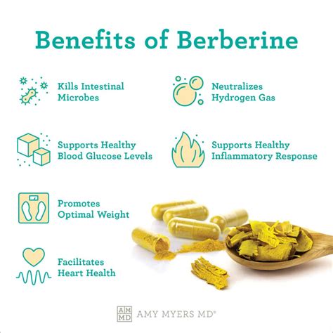 burberry nutrition facts|berberine benefits for women.